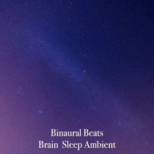 Обложка для Binaural Beats - Sleep of Meditation