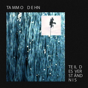 Обложка для Tammo Dehn - Teil Des Verständnis