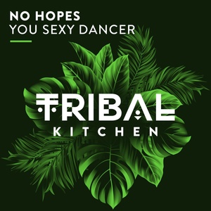 Обложка для No Hopes » downloadhouse.net - You Sexy Dancer (Dub Mix) » downloadhouse.net