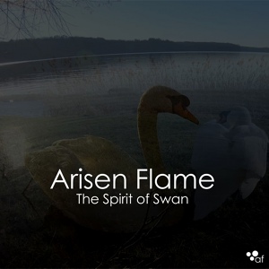 Обложка для Arisen Flame - The Spirit of Swan