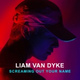 Обложка для Liam Van Dyke - Try It Out