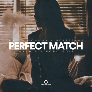 Обложка для Maxim Schunk, NOISETIME - Perfect Match