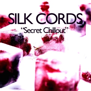 Обложка для Silk Cords - White Heart Sand