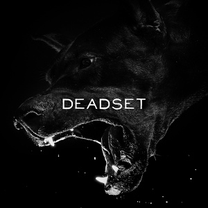 Обложка для Deadset - Favour