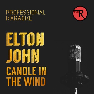 Обложка для Professional Karaoke - Candle in the Wind