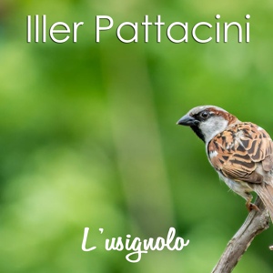 Обложка для Iller Pattacini - Sopra le onde
