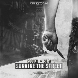 Обложка для Rooler, Sefa - Survive The Street
