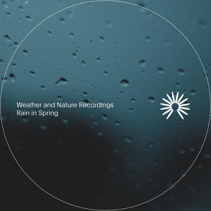 Обложка для Weather and Nature Recordings - Deck Rain