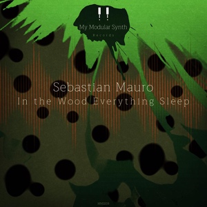 Обложка для Sebastian Mauro - In the Wood Everything Sleep