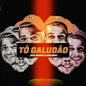 Обложка для Mcs Nando and Luanzinho - Tô Galudão