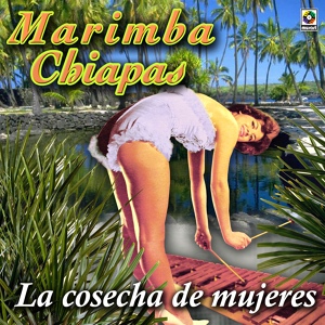 Обложка для Marimba Chiapas - Ferrocarril De Los Altos