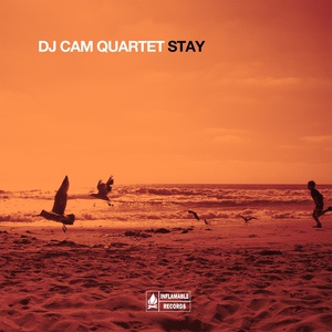 Обложка для DJ Cam Quartet - The Look of Love