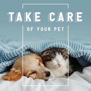 Обложка для Pet Music Academy - Pet Care