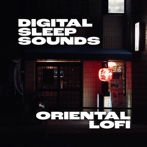 Обложка для Digital Sleep Sounds - Chinese Lofi