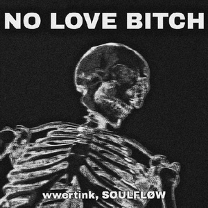 Обложка для wwertink, SOULFLØW - NO LOVE BITCH