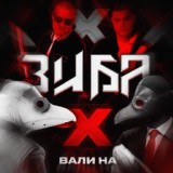 Обложка для Зиба - Вали на X