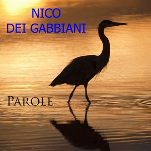 Обложка для Nico Dei Gabbiani - Ave Maria
