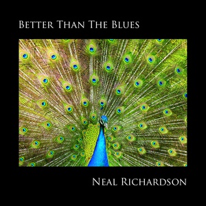 Обложка для Neal Richardson - Better Than the Blues