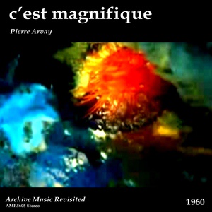 Обложка для Pierre Arvay et son Orchestre - C'est Magnifique