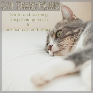 Обложка для RelaxMyCat - Healing Cat Music