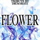 Обложка для Drum Beatz - Flower (Karaoke Version)