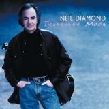 Обложка для Neil Diamond - If I Lost My Way