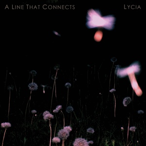 Обложка для Lycia - The Light Room