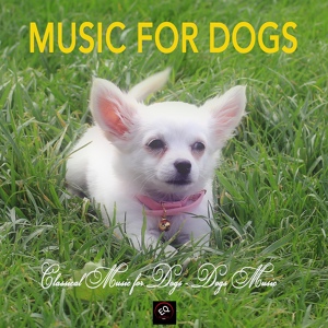 Обложка для Music for Dogs Collective - Johann Sebastian Bach - Air