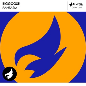 Обложка для Biggoose - Fantasm