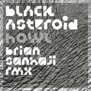 Обложка для Black Asteroid feat. Zola Jesus - Howl (Brian Sanhaji Remix)