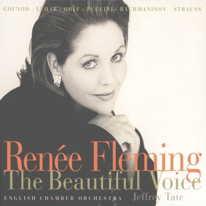 Обложка для Renée Fleming, Jeffrey Tate; English Chamber Orchestra - Dvorak: Songs My Mother Taught Me, Op. 55/4, B 104/4