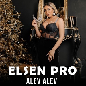 Обложка для Elsen Pro - Alev Alev