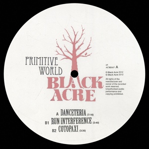 Обложка для Primitive World - Danceteria