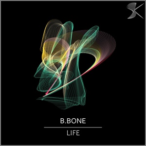Обложка для B.Bone - Pain