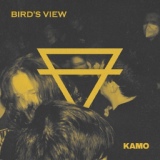 Обложка для Bird's View - Kamo