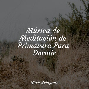 Обложка для Sonidos De Lluvia y Tormentas, Academia de Música con Sonidos de la Naturaleza, Música Para Dormir Inspirada En El Espacio - Mezcla De Arroyo Y Lluvia