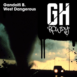 Обложка для Gandolfi B. - Control