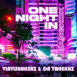 Обложка для Vinylshakerz - One Night in Bangkok 2K23