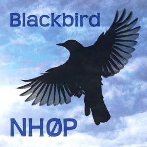 Обложка для Kenneth Drewsen feat. Ed Thigpen, Niels-Henning Ørsted Pedersen - Bye Bye Blackbird