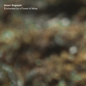 Обложка для Arsen Sogoyan - Souls of the Fern Thicket