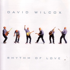 Обложка для David Wilcox - High Water Rising