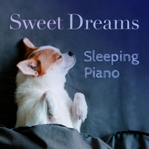 Обложка для Relaxing Piano Crew - Dreams of Dynamics