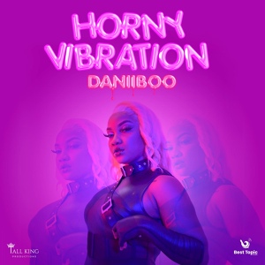 Обложка для Daniiboo - Horny Vibration