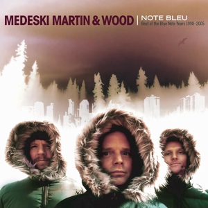 Обложка для Medeski Martin & Wood - Hypnotized
