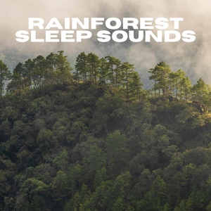 Обложка для Nature Sounds For Sleeping - Rainforest Sleep Sound