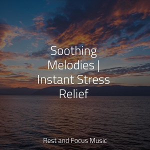 Обложка для Deep Sleep Systems, Soothing Chill Out for Insomnia, Spa Music Collective - Ambient Peace