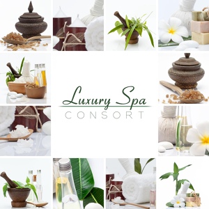 Обложка для Serenity Spa Music Zone - Chamomile Tea