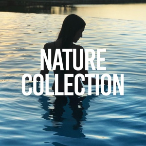 Обложка для Nature Sounds - Getle River Flow