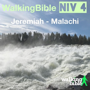 Обложка для WalkingBible, Will Weeks - Jeremiah 17:9