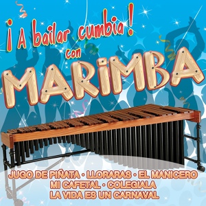 Обложка для Marimba Chiapas - La Vida Es un Carnaval